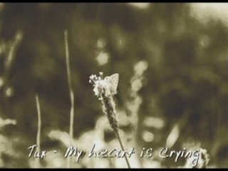 Tux-My heart is crying