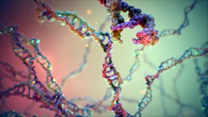 Who Lives At The Bottom Of The Bermuda Triangle