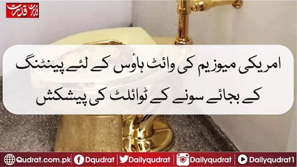 Gold toilet offer instead of painting for the American Museum of White House