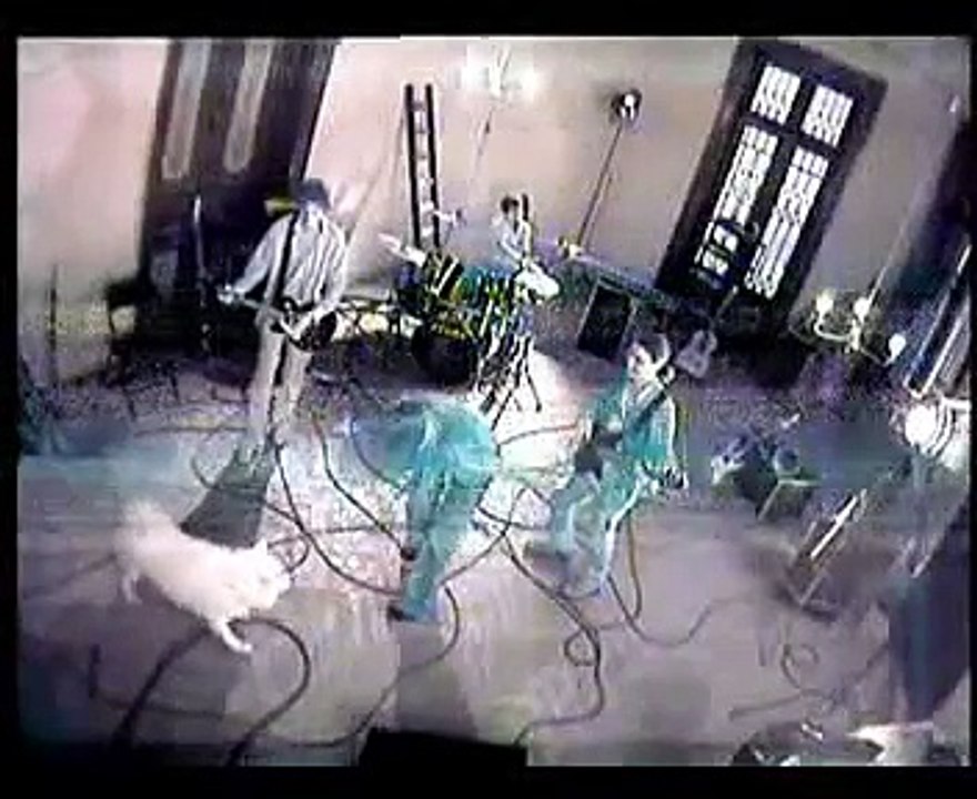 Madalina Manole - Fata visurilor tale