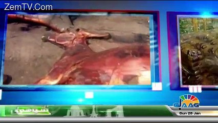 Muje He Hukm E Azaan – 28th January 2018