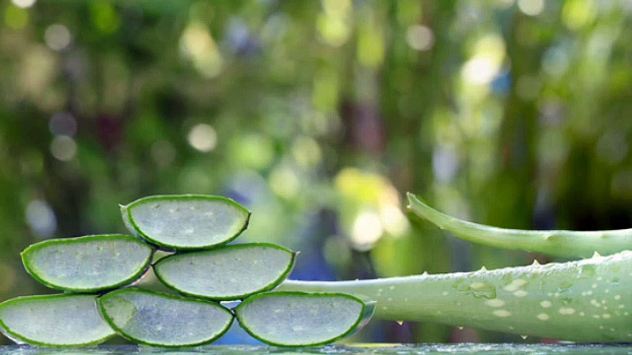 health benefits of aloe vera@