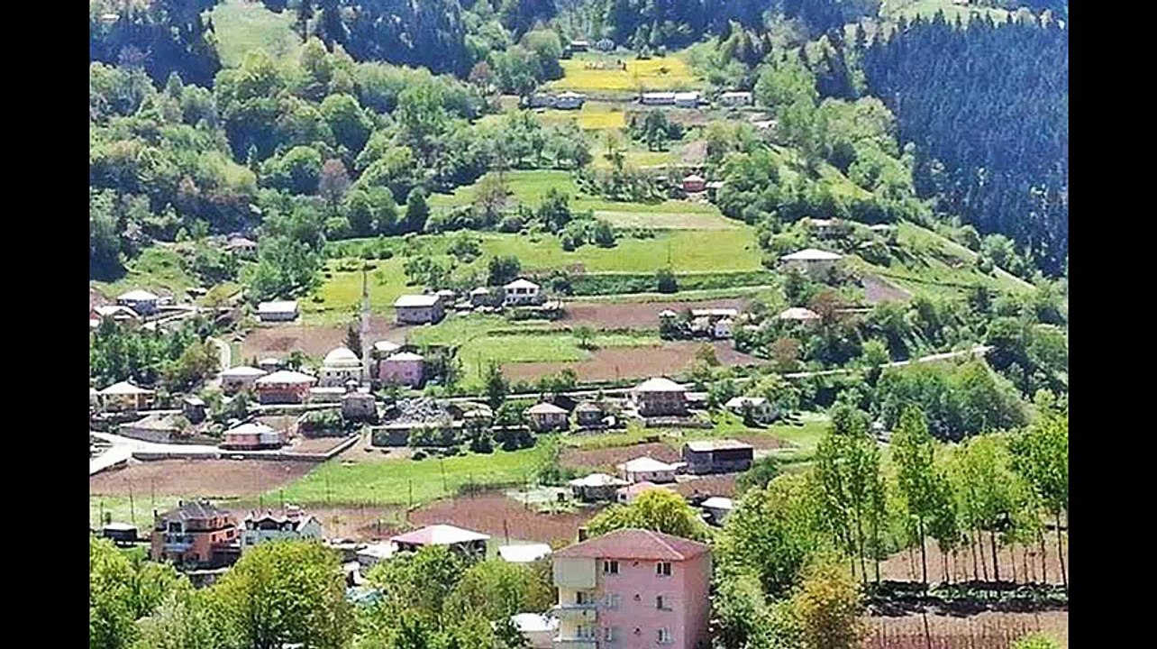 Maçka Anayurt Köyü