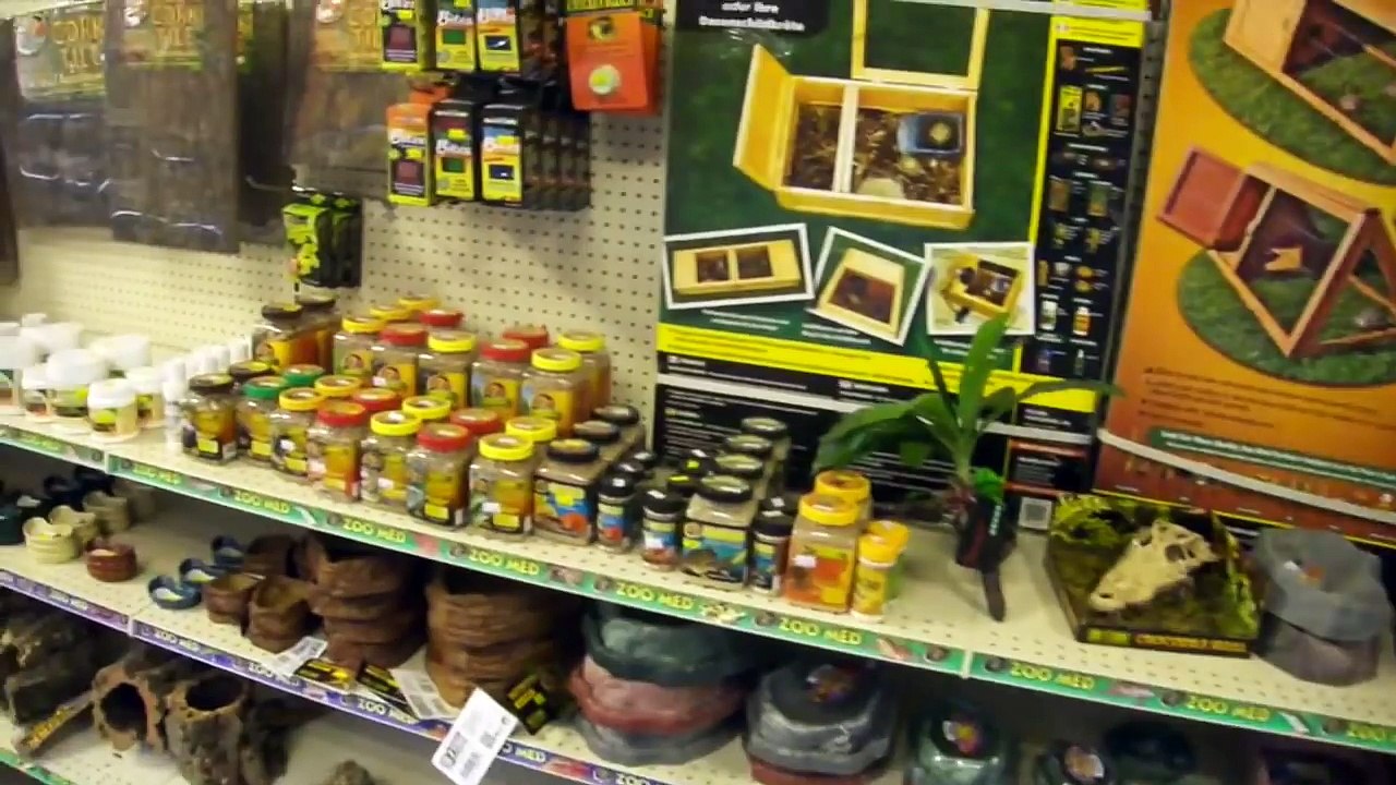 PREDATORS REPTILE STORE TOUR new!