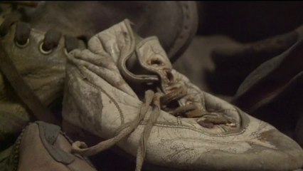 Jehovah's Witnesses and the Holocaust