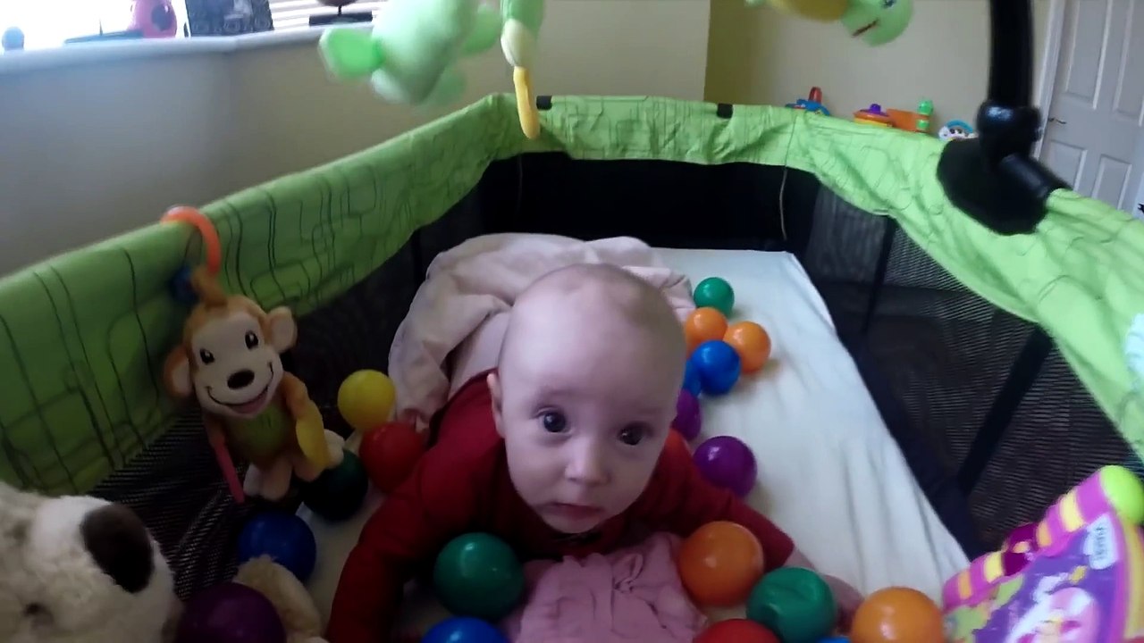 Ce chien adorable apporte ses jouets et les donne à bébé... Trop mignon