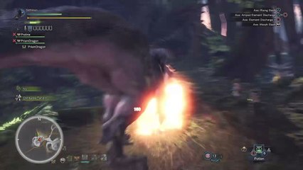 Monster Hunter: World Anjanath Wakey Wakey