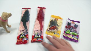 Cooked Rat & Spider! Jelly Belly Pet Gummi Candy!