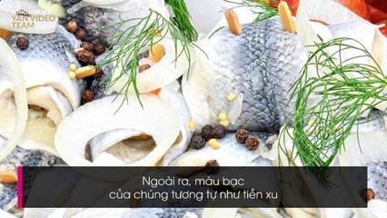 NHỮNG MÓN TRUYỀN THỐNG CÁC NƯỚC CỨ ĂN LÀ MAY MẮN CẢ NĂM