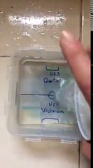 Chú cá vàng dự đoán kết quả tỉ số giữa Việt Nam và Quatar