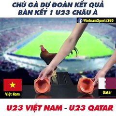 Chú gà dự đoán kết quả tỉ số giữa Việt Nam và Quatar