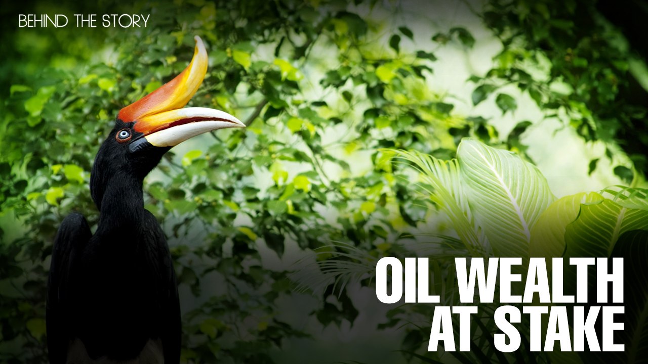 BEHIND THE STORY: Oil wealth at stake