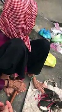 TP.HCM: Xót xa hoàn cảnh của bà cụ 90 tuổi phải đem cho những chú mèo vì không nuôi nổi