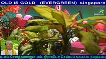 OLD IS GOLD   (EVERGREEN)  singapore abdhul rahman.