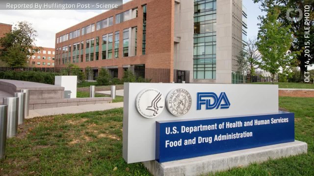 FDA Ends Nicotine Study After 4 Monkeys Die In Testing