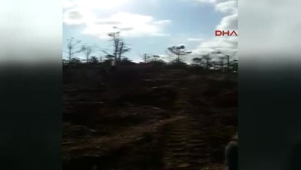 Burseya Dağı Temizlendi Ek