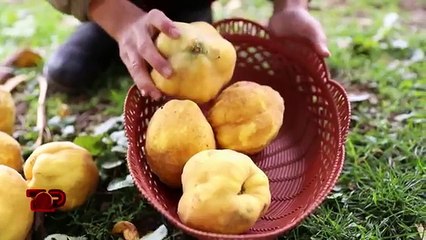 Përloti publikun me zërin e saj, historia rrëqethëse e vogëlushes nga Kukësi