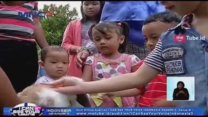 Main Bersama Kelinci, Ajari Anak Sayang Binatang