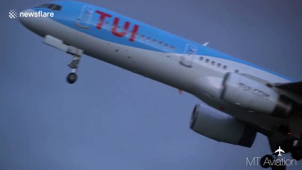 Fox on runway at Manchester Airport briefly halts operations