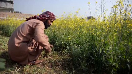 Pakistan'da temiz içme suyu problemi - RAVALPİNDİ