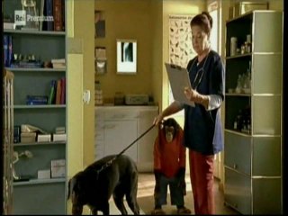 Il nostro amico Charly 15x03 - Orgoglio