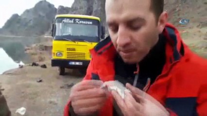 Barajda tuttuğu balığı çiğ yedi