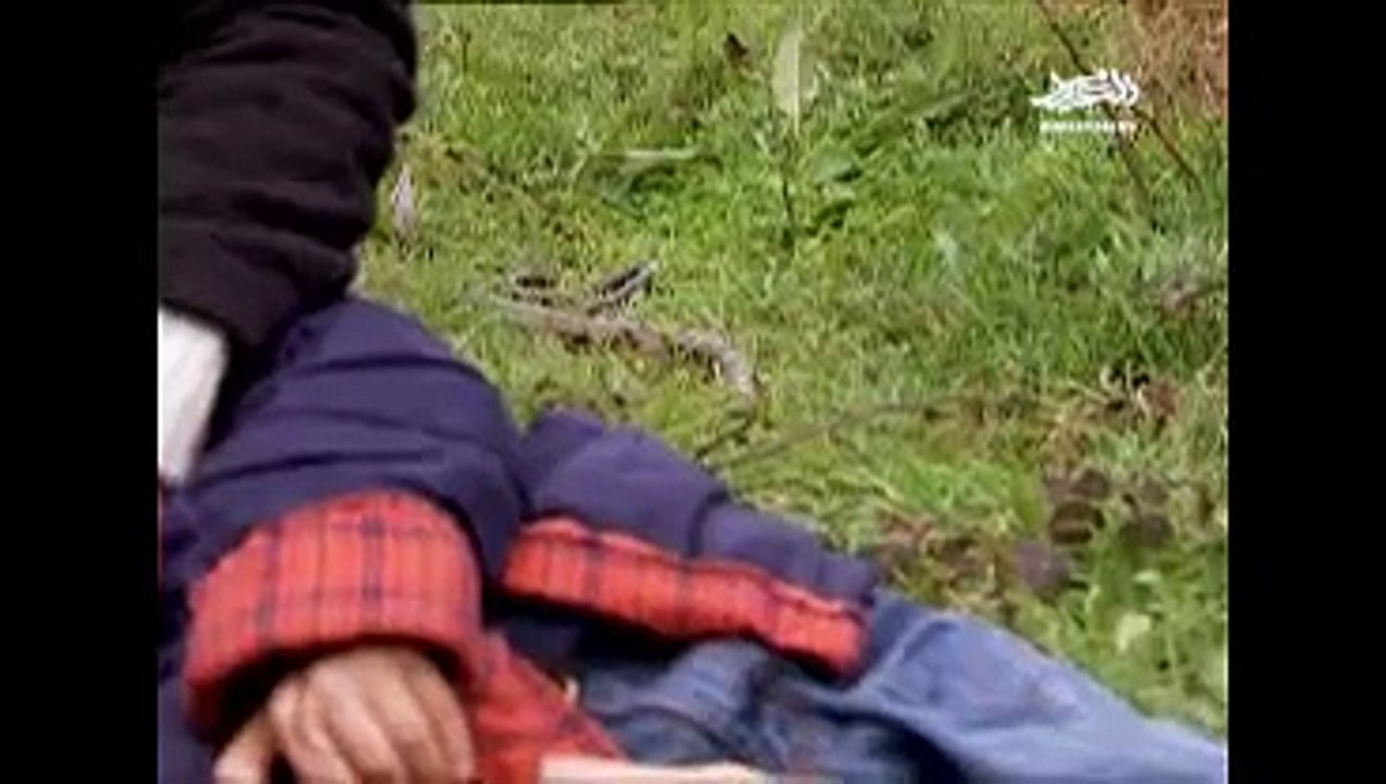 المسلسل التركي قلوب منكسرة الحلقة الواحد و الثلاثون 31