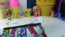 Fan Mail #11 - Mystery Surprise LPS Blind Bag Littlest Pet Shop Toy Package Opening