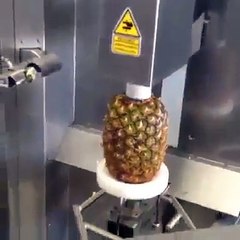 Fruit cutting machine