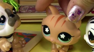 Puppy On The Way - Mommies Part 18 Littlest Pet Shop Series Movie LPS Mom Babies