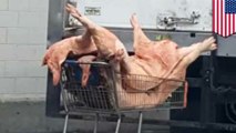 Raw pork delivered in shopping carts sparks investigation
