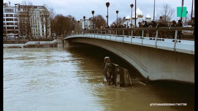 Le week-end du pic de crue de la Seine, vu des réseaux sociaux