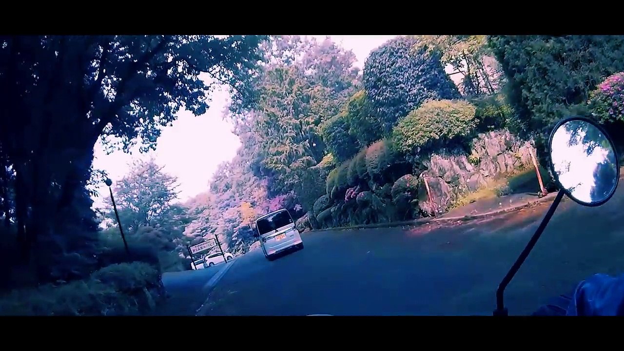 Stop Or Go ?