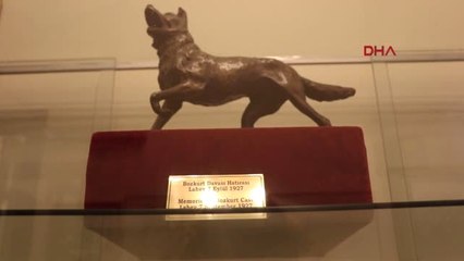 Samsun-Aihm Tarafından Atatürk'e Verilen Bozkurt Heykeli İlgi Görüyor