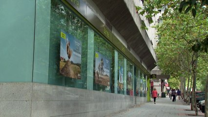 Bankia gana 816 millones en 2017, un 1,4% más