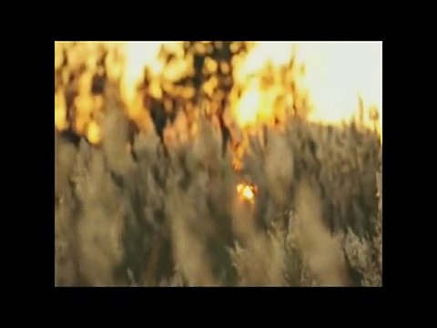 Umut Altınçağ - Düşler Vadisi (Official Video)