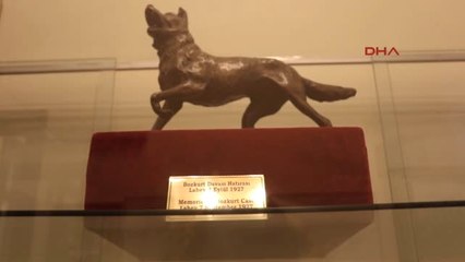 Samsun AİHM Tarafından Atatürk'e Verilen Bozkurt Heykeli İlgi Görüyor