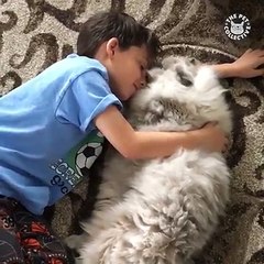 OMG THEY'RE SO FLUFFY! 