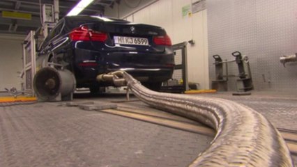 원숭이 이어 사람까지...독일 자동차 가스실험 파문 / YTN