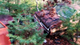 ABANDONED CAR FOREST found army truck