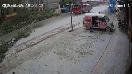 Freak accident: tree falls directly into path of motor scooter