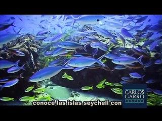 Islas Seychelle- Programa Con rita Colli