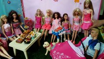 ละครบาร์บี้ ตอนปาร์ตี้สีชมพู Barbie