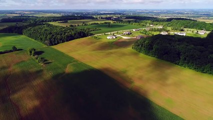 Sneaky Pete - saison 2 - bande-annonce et date sur Amazon (VO)