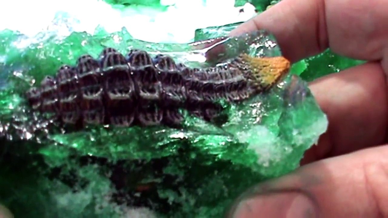 Dinosaur Toys Surprise ICE AGE Dig Toy Dinosaurs Video for Kids | Find the Toy Pal