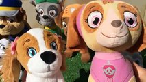 Patrulla canina juguetes español CHASE SALVA DEL LOBO FEROZ UN NUEVO BEBE CACHORRO PAW PATROL