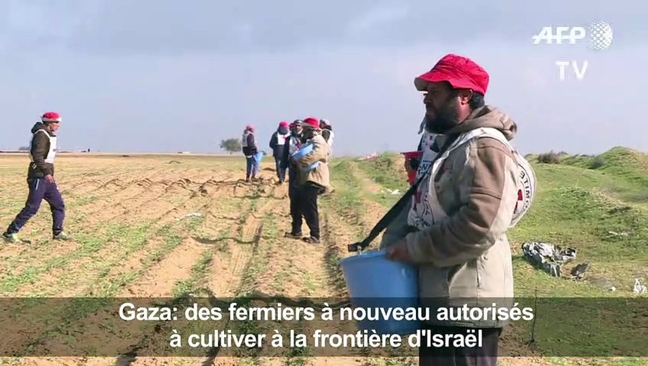 Gaza: des fermiers autorisés de nouveau à cultiver leurs terres