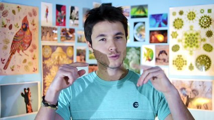 5 choses qui font de vous une CHIMÈRE - DBY #21