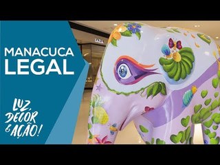 Manacuca Legal Elephant Parade com Maria Souza - Luz, Decor & Ação!