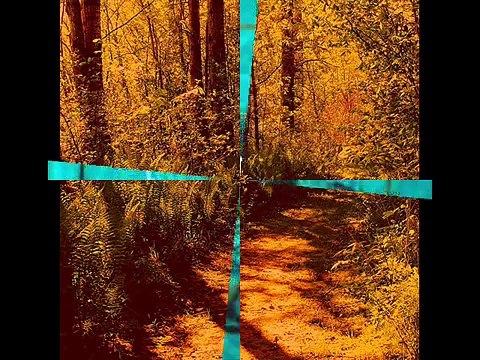 Catalin Crisan - Drumul spre mine